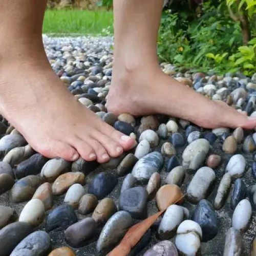 reflexology track.webp